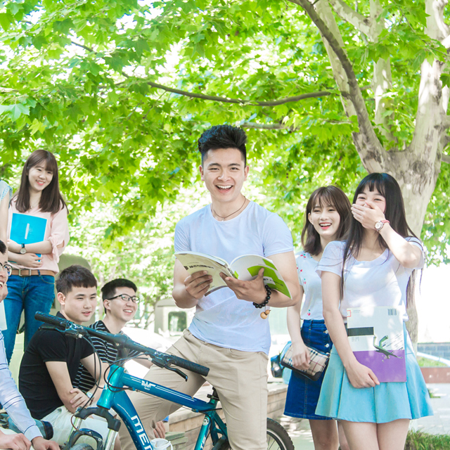 西京大学网站建设案例